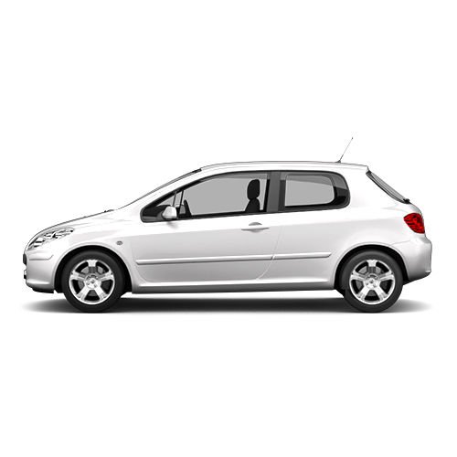 Peugeot 307 2006-2009